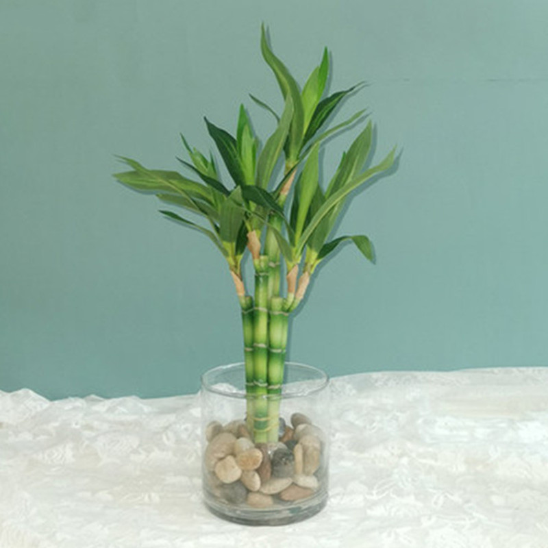 Desk Setup Green - Nova Planta Artificial de Bambu da