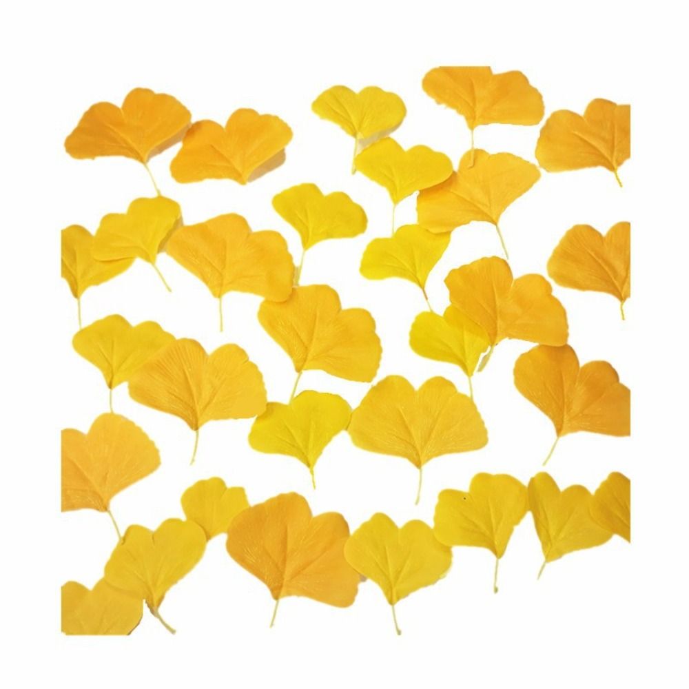 Desk Setup Photo - Outono Artificial Ginkgo Folhas, Falso Folha