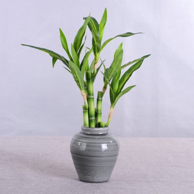 Nova Planta Artificial de Bamb - Desk Setup Green avaliação e preço